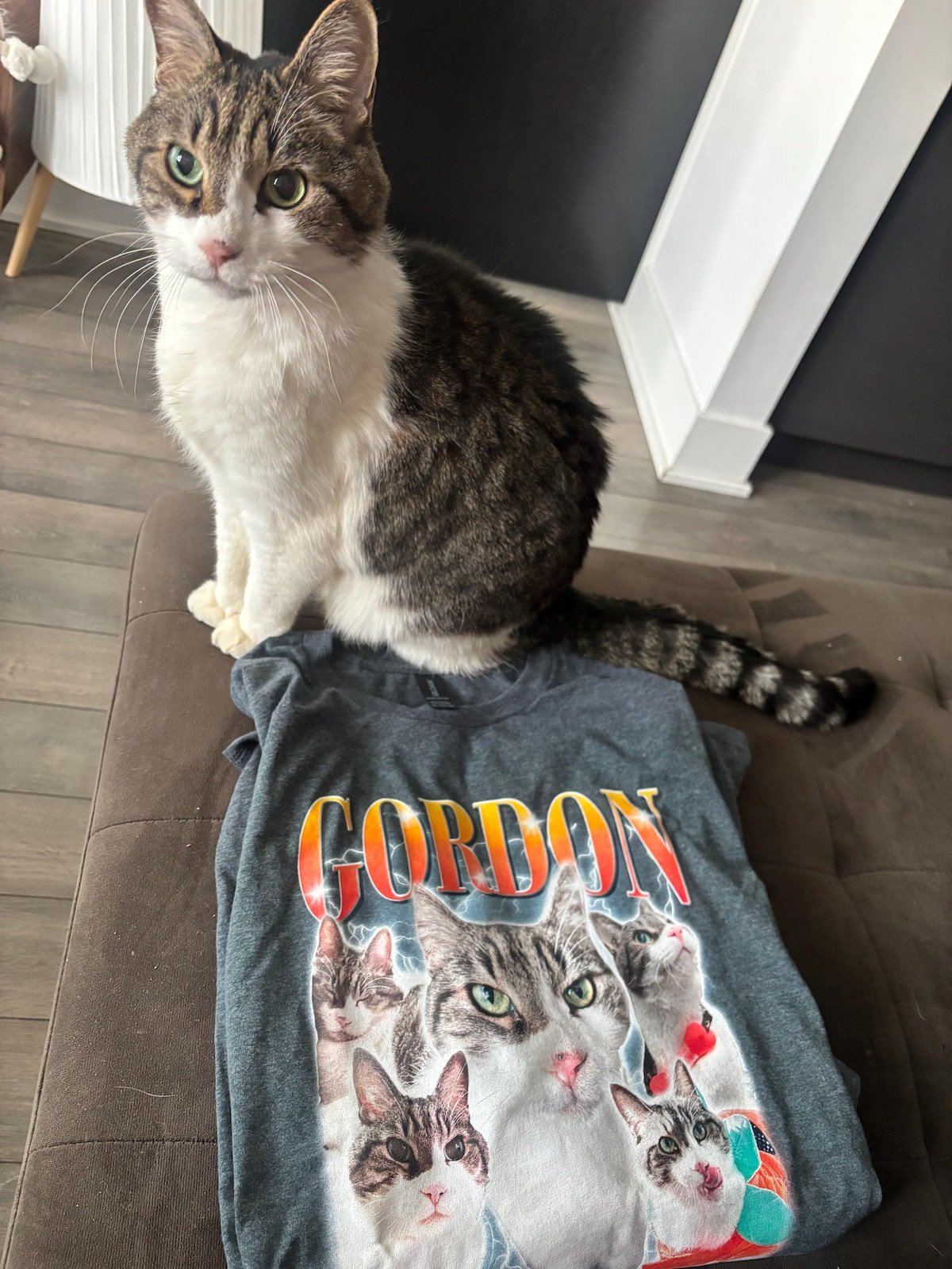 A custom bootleg shirt made by a customer